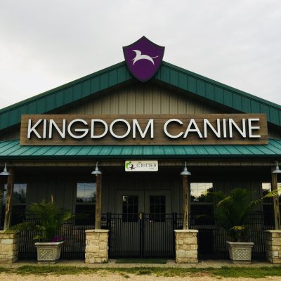 Kingdom Canine